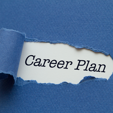 Individual Counseling Care Plan